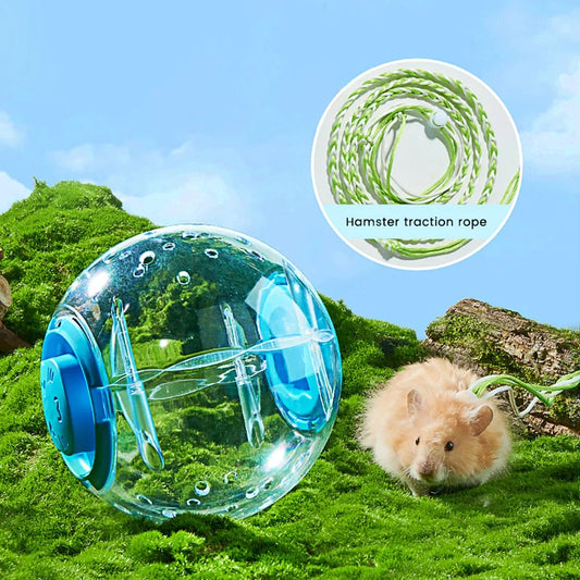 Transparent Hamster Exercise Ball with Traction Rope - 14cm & 18cm Sizes