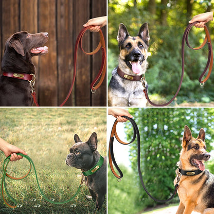 Premium Genuine Leather Dog Leash - Heavy-Duty Lead for Medium to Large Dogs | Petziverse