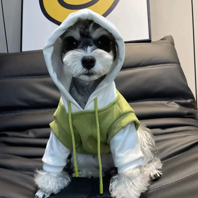 dog wearing premium winter hoodie