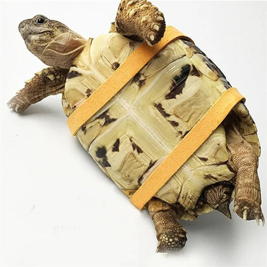 Soft Reptile Leash - Professional Velvet Training Harness for Turtles and Lizards