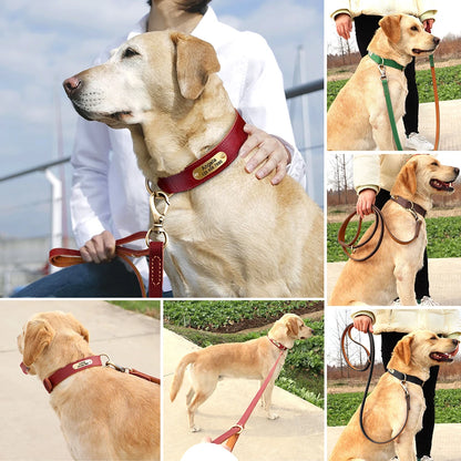 Premium Genuine Leather Dog Leash - Heavy-Duty Lead for Medium to Large Dogs | Petziverse