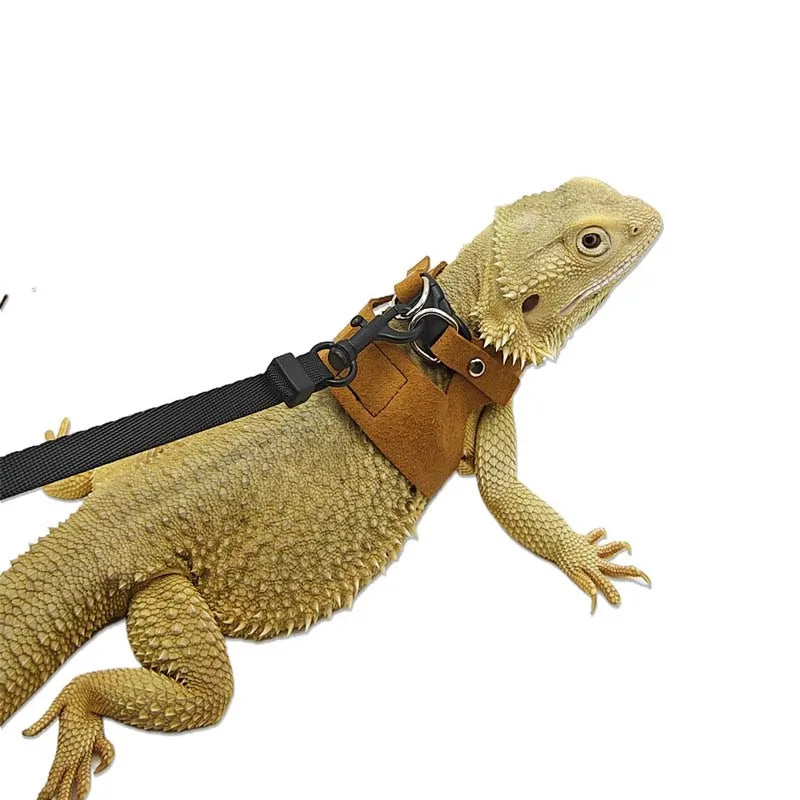 3-Piece Adjustable Bearded Dragon Harness Set - PU Leather Leash & Traction Rope for Reptiles