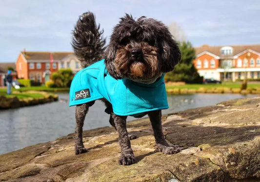 Jaegr Supreme Coat by Jaegr Dogwear Winter Protection