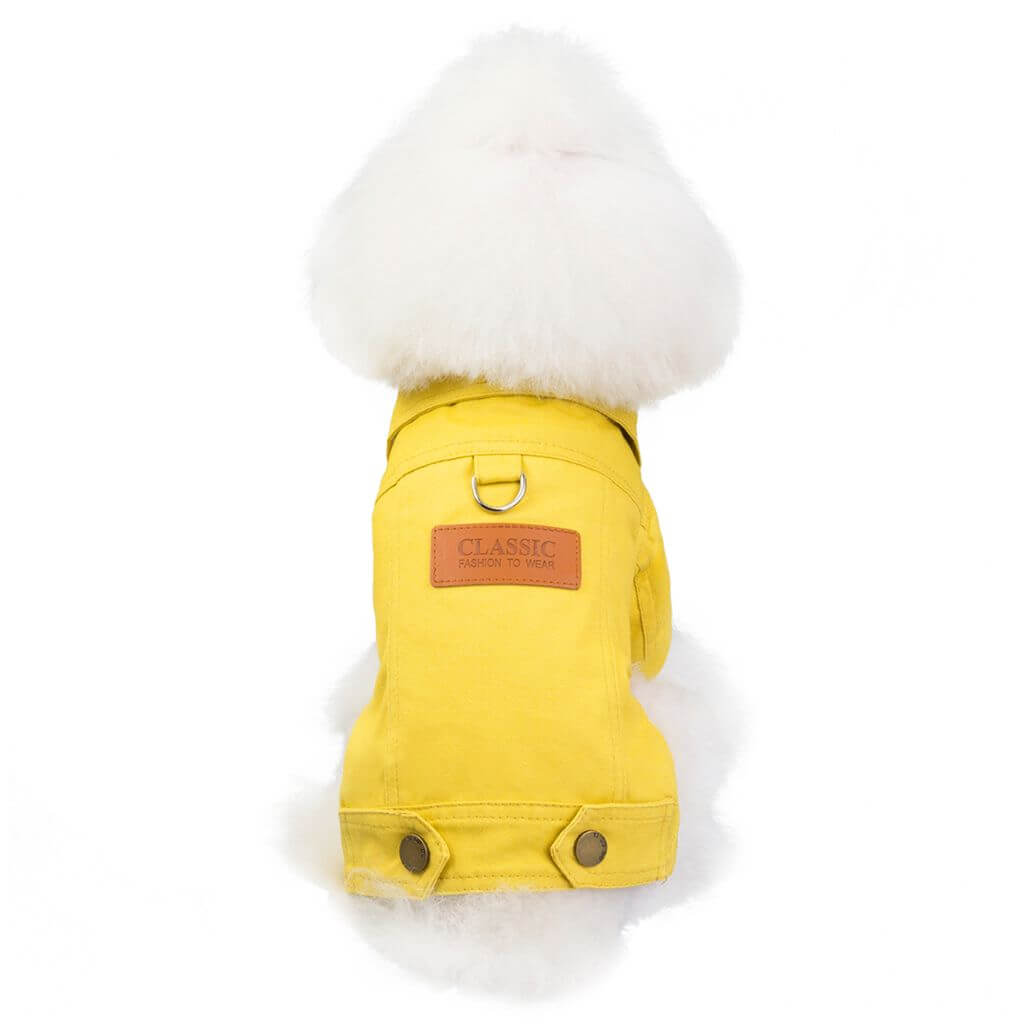 Yellow Seasons Dog Jacket by Doggy Doo Little on a fluffy dog, showcasing stylish design and vibrant yellow color.
