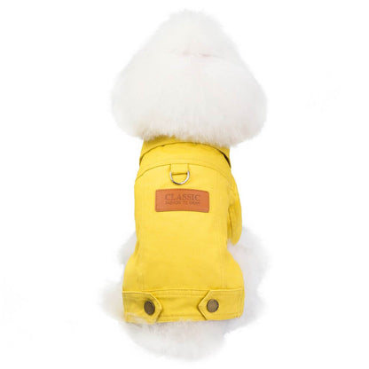 Yellow Seasons Dog Jacket by Doggy Doo Little on a fluffy dog, showcasing stylish design and vibrant yellow color.
