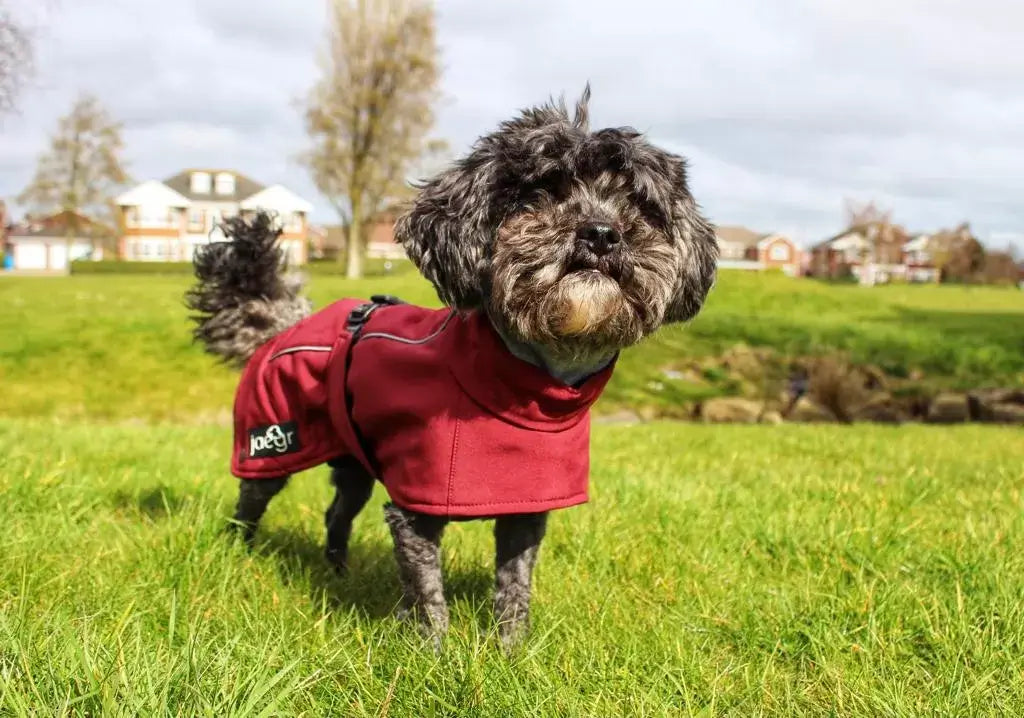 Jaegr Supreme Coat by Jaegr Dogwear Winter Protection